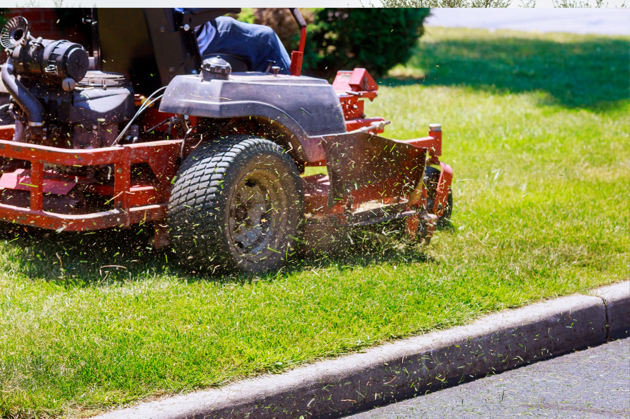 lawn care