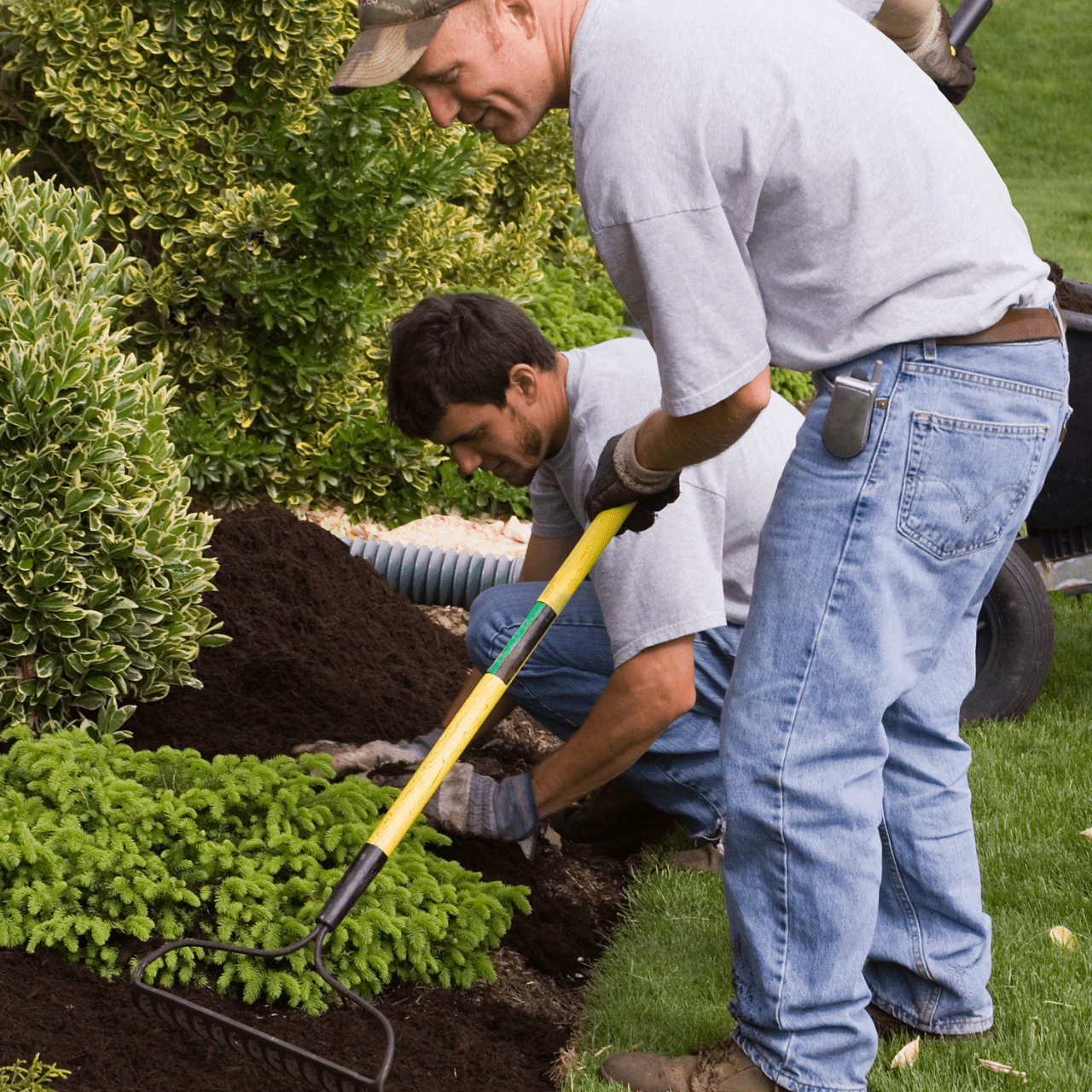 Mulching garden bed installation