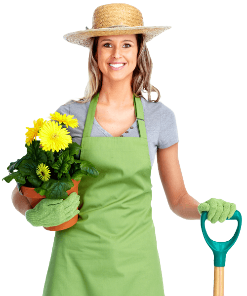gardener10