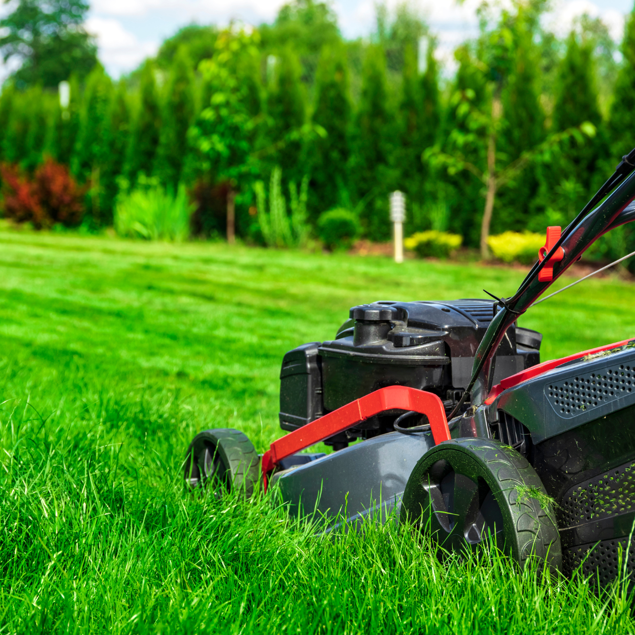 mowing lawn mowing lawn