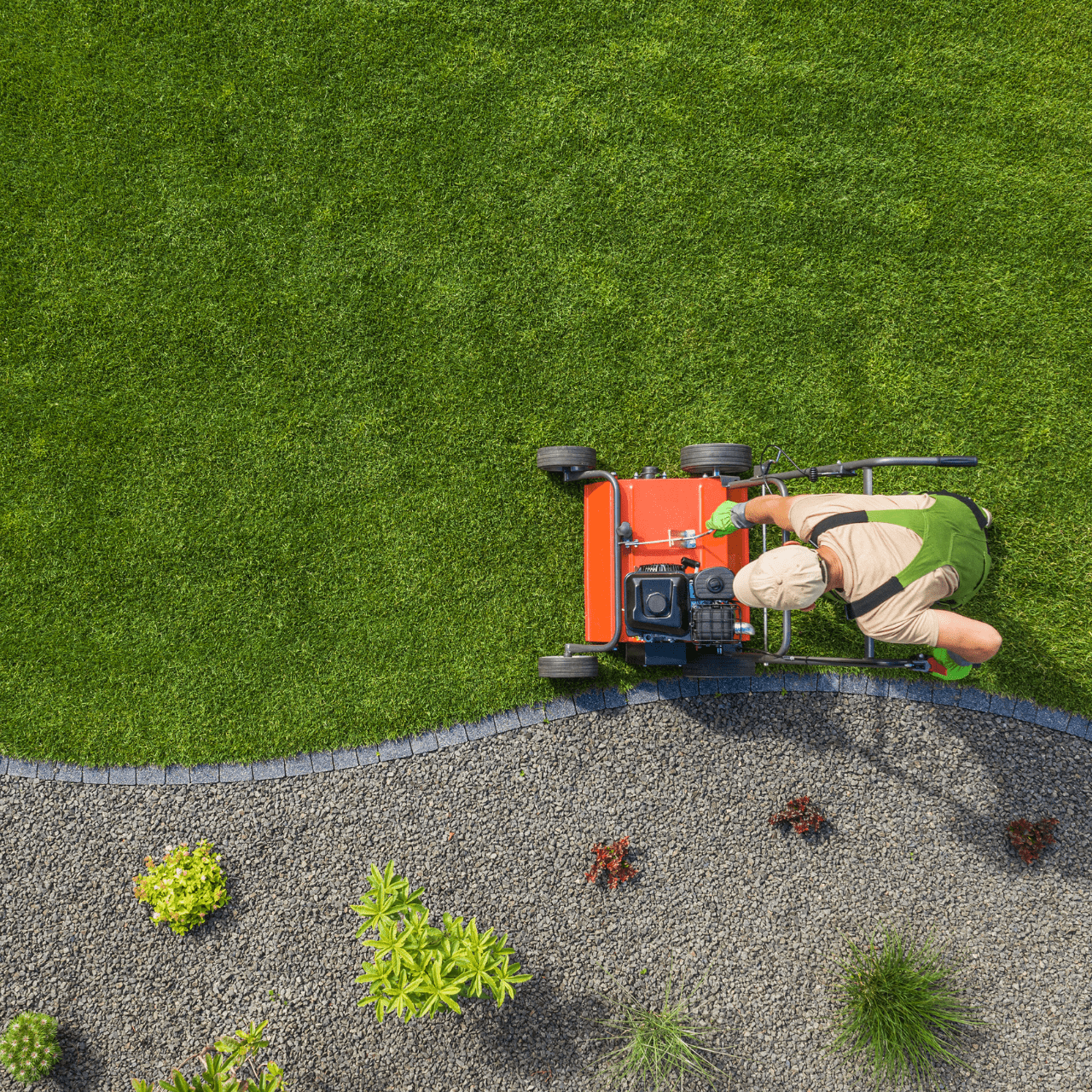 Aerating and Overseeding Aerating and Overseeding